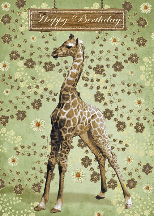 Happy Birthday Baby Giraffe Greeting Card by Max Hernn - Click Image to Close